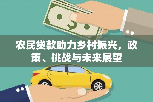 项城农民贷款助力乡村振兴，政策、挑战与未来展望