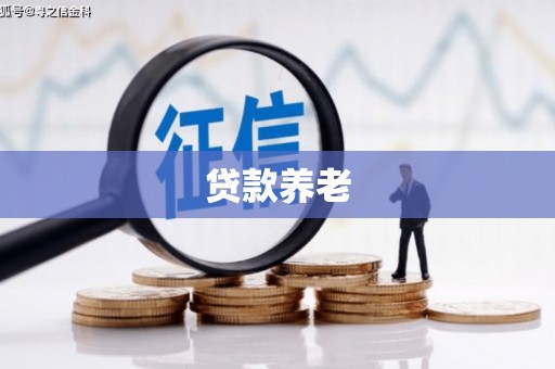 项城贷款养老