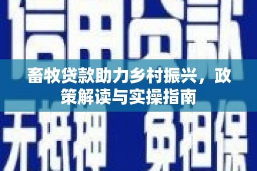 项城畜牧贷款助力乡村振兴，政策解读与实操指南