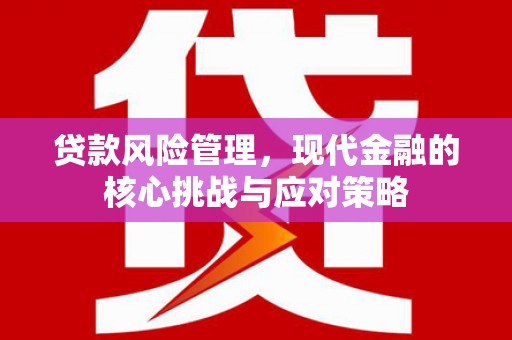 项城贷款风险管理，现代金融的核心挑战与应对策略
