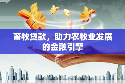 项城畜牧贷款，助力农牧业发展的金融引擎