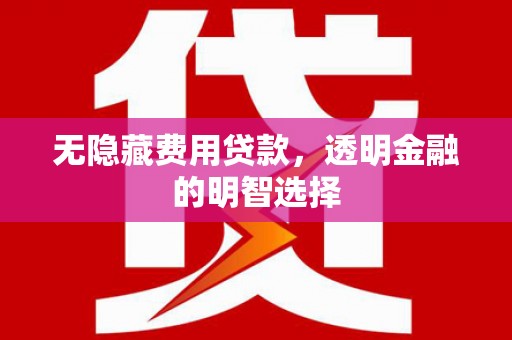 项城无隐藏费用贷款，透明金融的明智选择