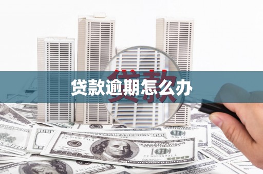 项城贷款逾期怎么办