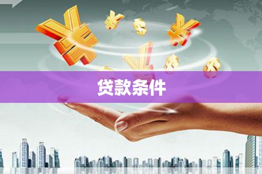 项城贷款条件