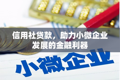 项城信用社贷款，助力小微企业发展的金融利器