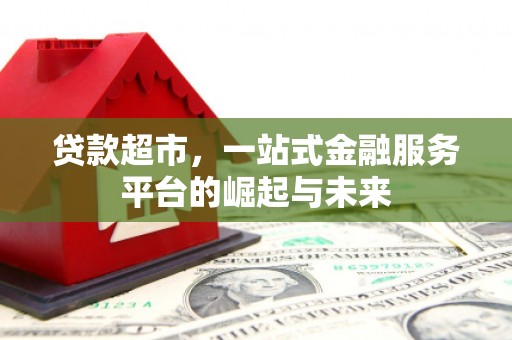 项城贷款超市，一站式金融服务平台的崛起与未来