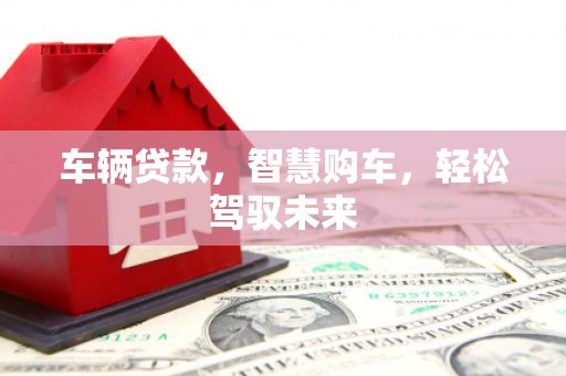 项城车辆贷款，智慧购车，轻松驾驭未来