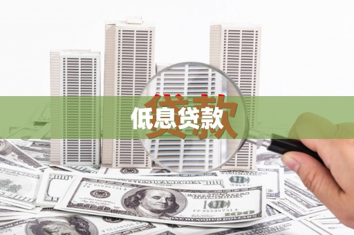 项城低息贷款