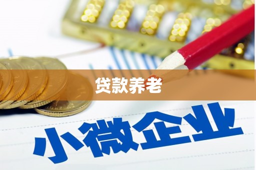项城贷款养老