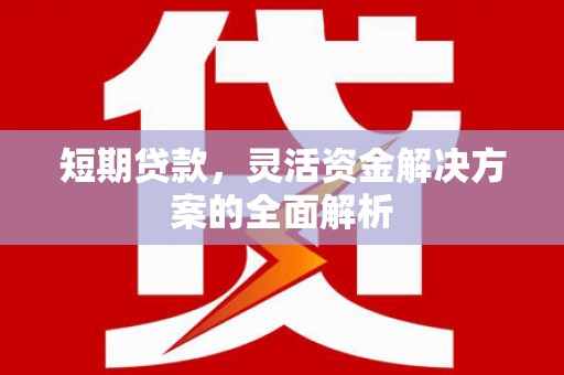 项城短期贷款，灵活资金解决方案的全面解析