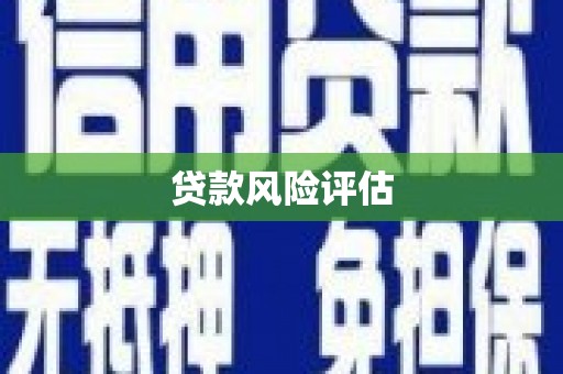 项城贷款风险评估