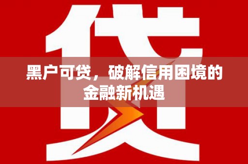 项城黑户可贷，破解信用困境的金融新机遇