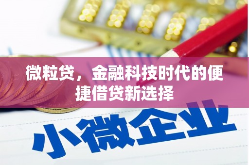 项城微粒贷，金融科技时代的便捷借贷新选择