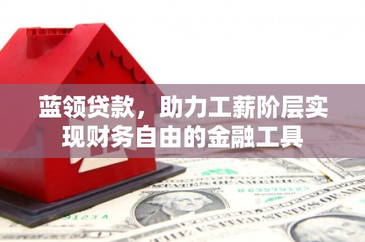项城蓝领贷款，助力工薪阶层实现财务自由的金融工具