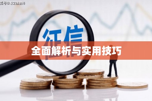 项城全面解析与实用技巧