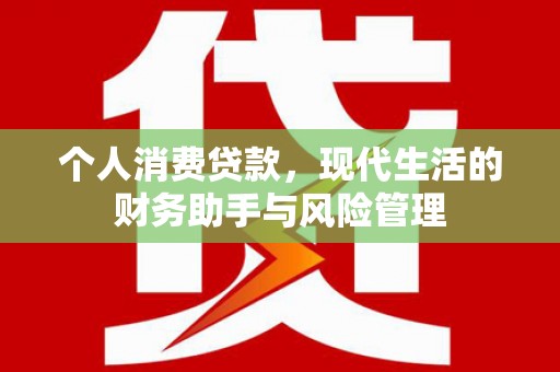 项城个人消费贷款，现代生活的财务助手与风险管理