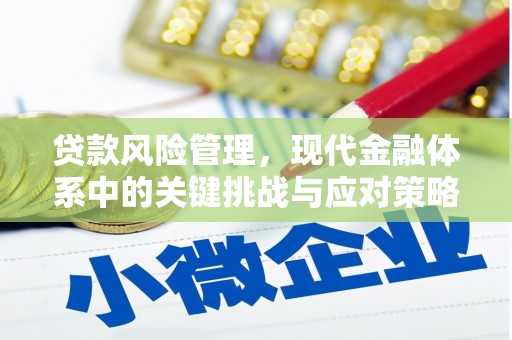项城贷款风险管理，现代金融体系中的关键挑战与应对策略