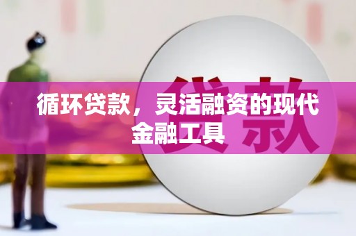 项城循环贷款，灵活融资的现代金融工具
