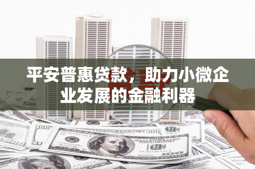 项城平安普惠贷款，助力小微企业发展的金融利器