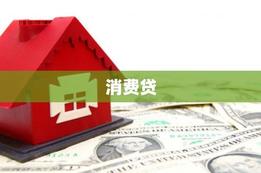 项城消费贷