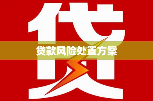 项城贷款风险处置方案