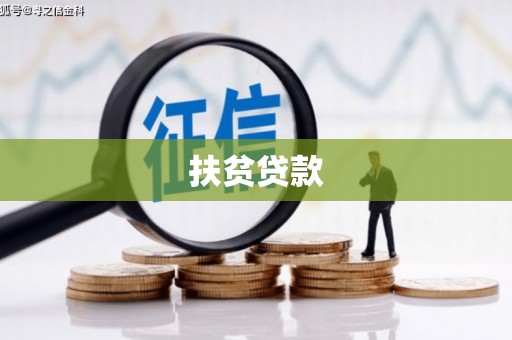 项城扶贫贷款