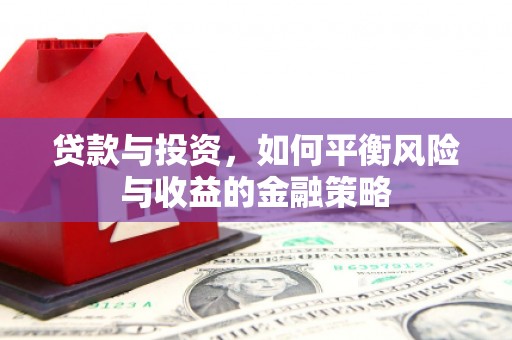 项城贷款与投资，如何平衡风险与收益的金融策略