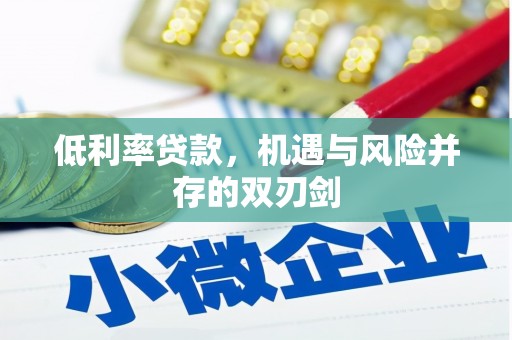 项城低利率贷款，机遇与风险并存的双刃剑