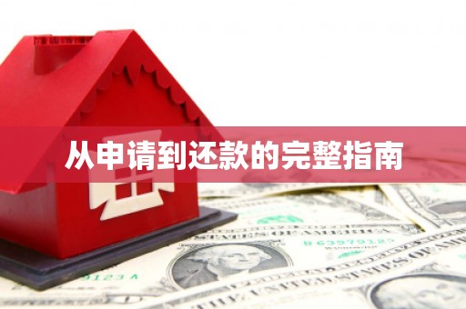 项城从申请到还款的完整指南