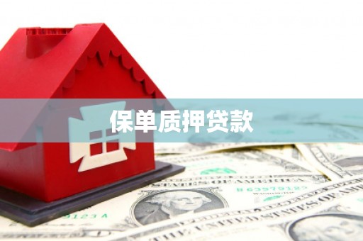 项城保单质押贷款