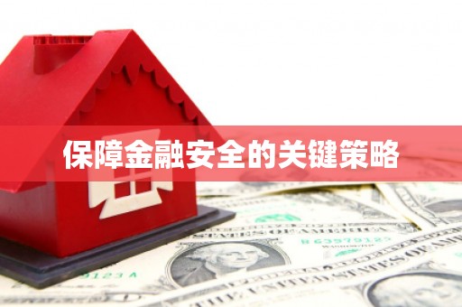 项城保障金融安全的关键策略