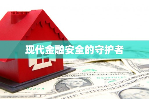 项城现代金融安全的守护者