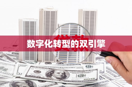 项城数字化转型的双引擎