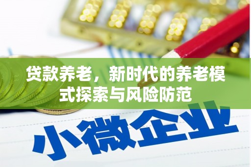 项城贷款养老，新时代的养老模式探索与风险防范