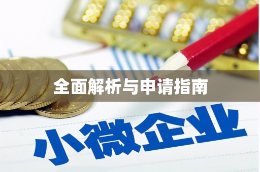 项城全面解析与申请指南