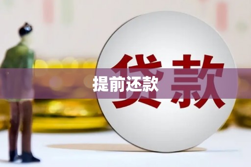 项城提前还款