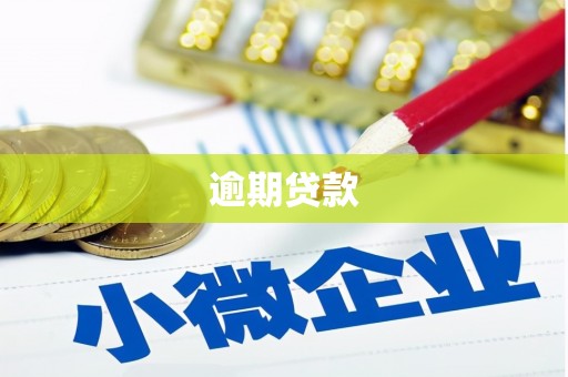 项城逾期贷款