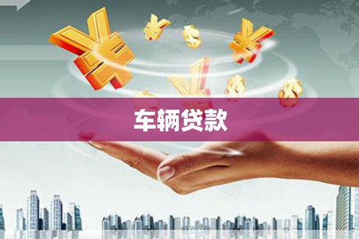项城车辆贷款