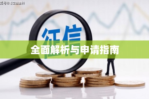 项城全面解析与申请指南
